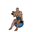 Hammer Curl - Fitness Ball Dumbbell Alternate